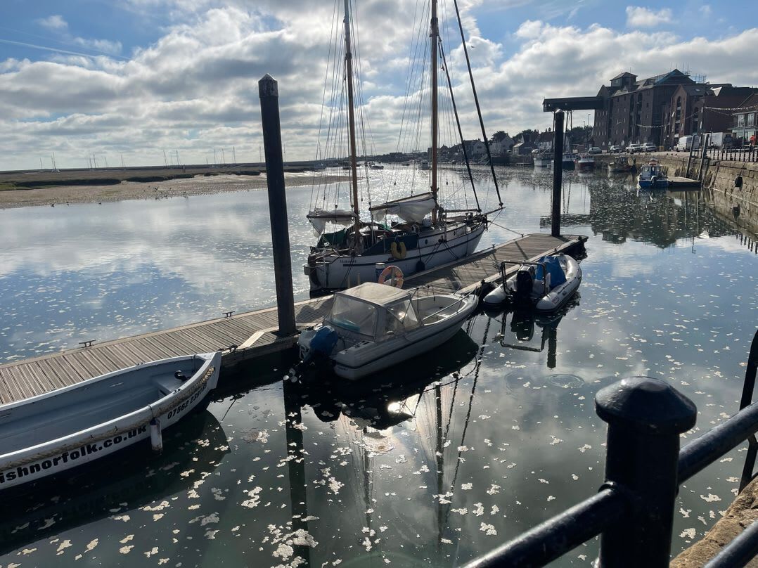 Port de plaisance