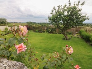 Un jardí amb gespa, un arbre i roses en flor.