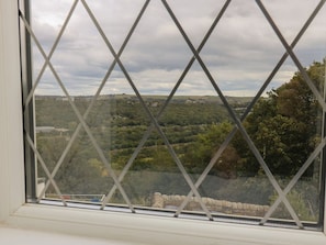 Vista a través de una ventana con celosía de diamantes, que da a un paisaje con árboles y un muro de piedra.