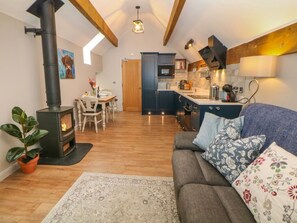Fireplace - Horsedale Barn, Bonsall (Matlock)