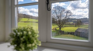 Ein Fenster mit Blick auf ein grünes Feld, einen Baum und eine Steinmauer.