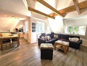 TV, stereo - Noordlicht - Noordlicht vacation apartment in Alkersum: 70 m² with terrace & WLAN (Alkersum)