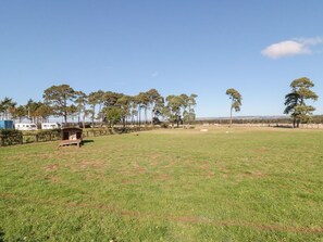 Property grounds - East Cottage, Rillington (Malton)