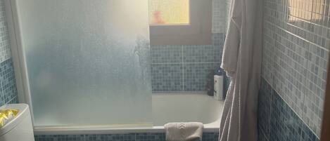 Shower, hair dryer, soap, toilet paper