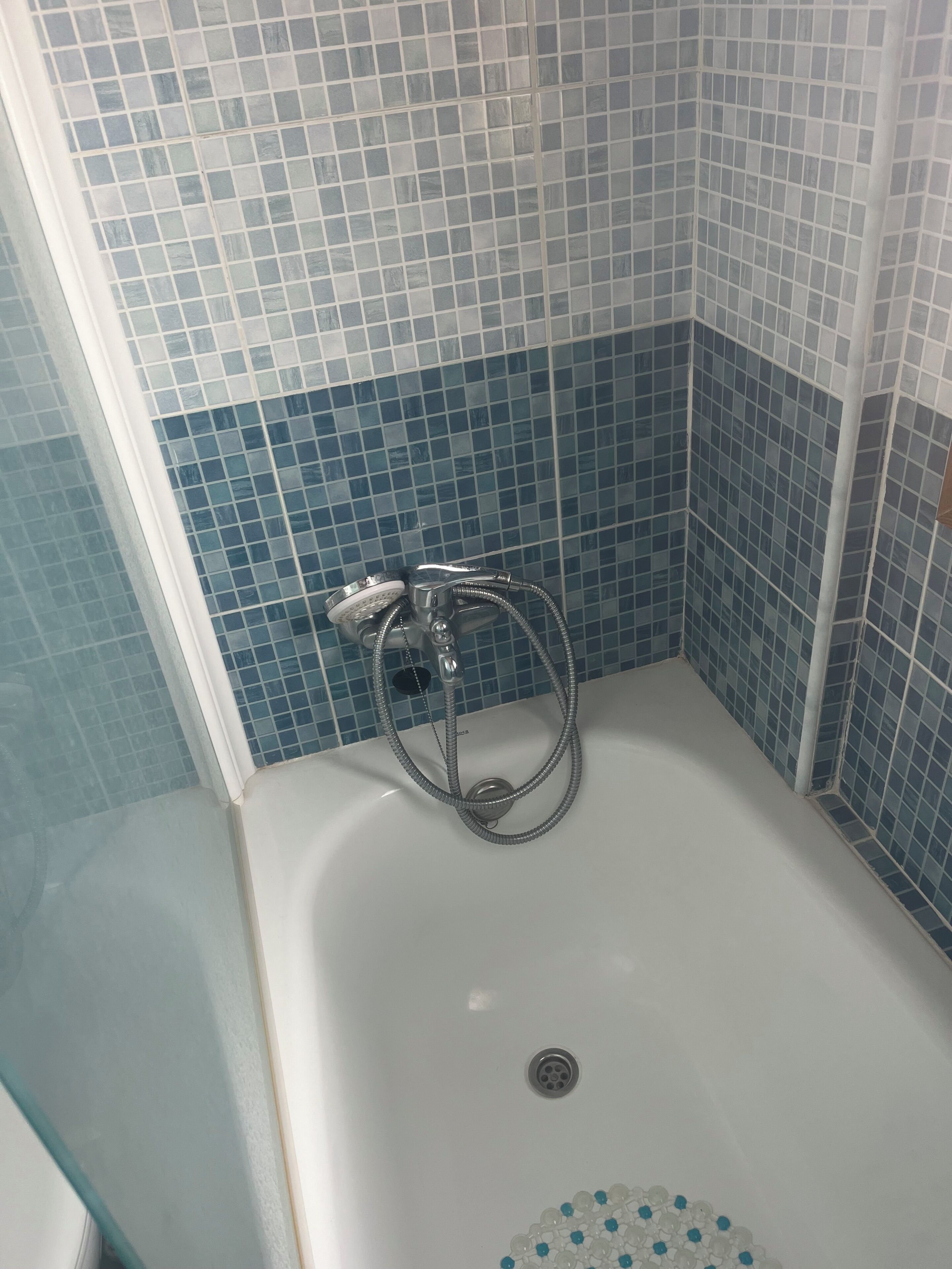 Ducha, secador de pelo, jabón y papel higiénico