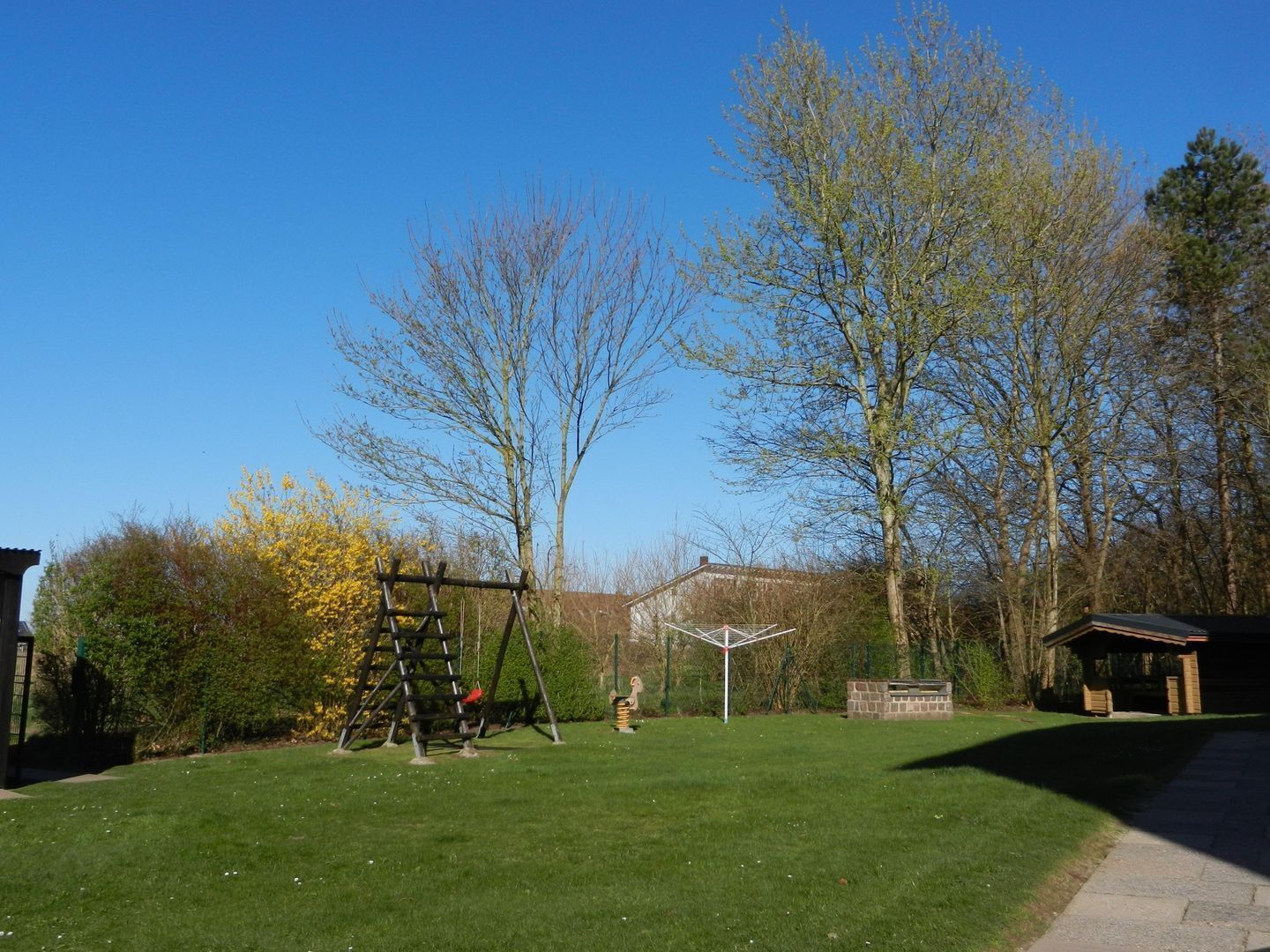 A grassy yard with a swing set, a small shed, and leafless trees.