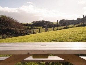 Property grounds - PRIMROSE COTTAGE, countryside, coast, Newgale (Haverfordwest)