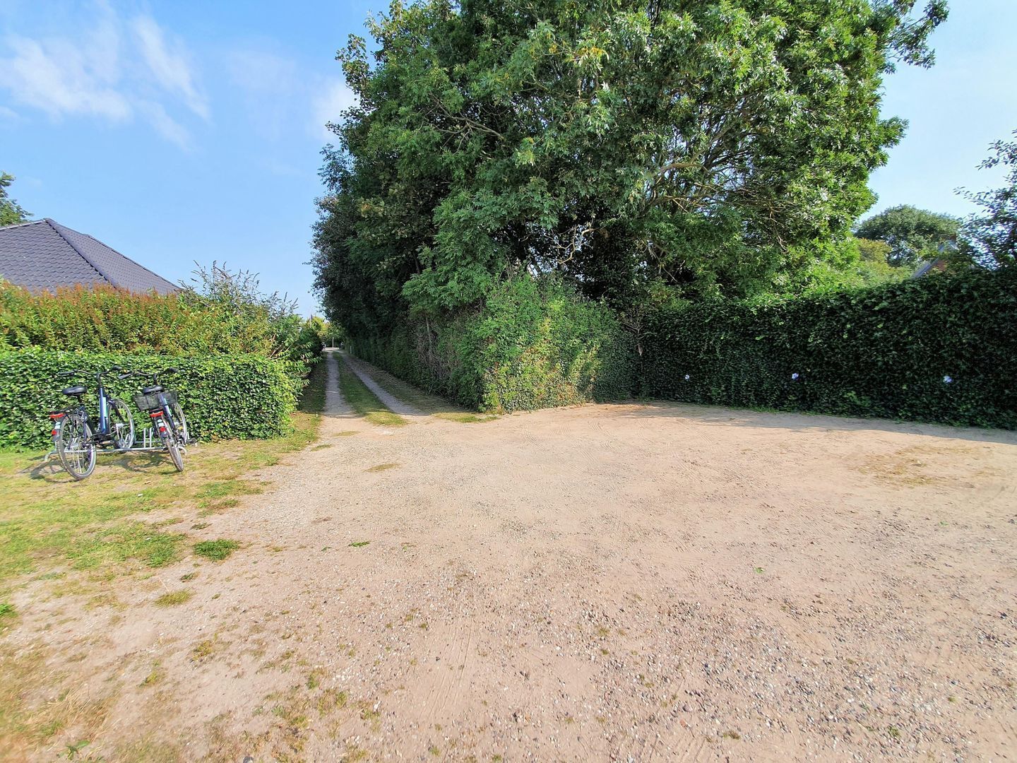 Een grindpad leidt naar een huis met een grote boom en een haag aan de linkerkant.