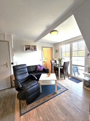 TV, stereo - Kiebitz - Allergy-friendly vacation apartment Kiebitz with balcony near the beach in (Wyk auf Föhr)