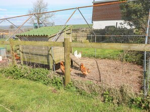 Terrain de l’hébergement 