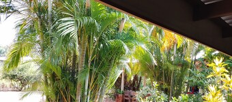 New sigiriya hostel