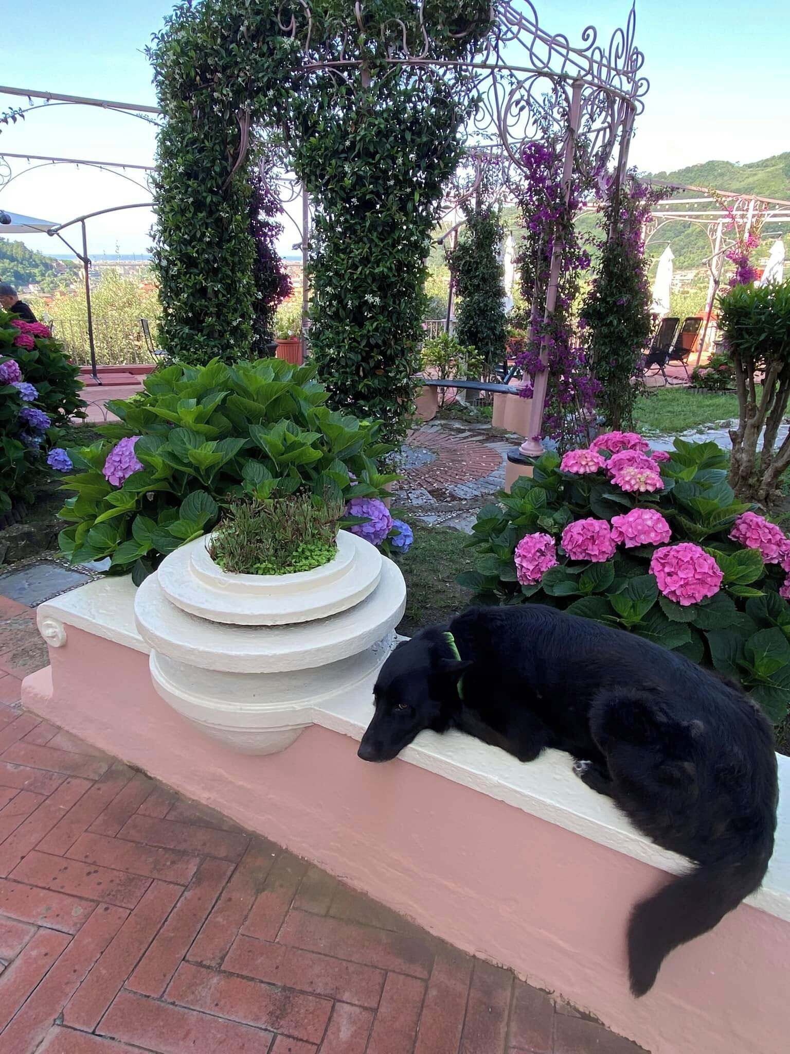 Enceinte de l’hébergement