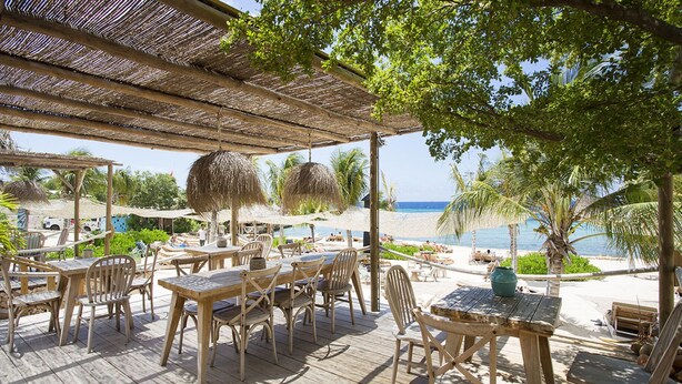 Una terraza de madera con mesas y sillas, con vista a una playa con palmeras y una vista despejada del océano.