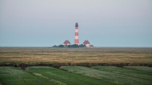 Een vuurtoren met een toren in rode en witte strepen, twee kleinere gebouwen met rode daken en een vlak landschap.