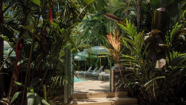 Zona de piscina con sillas de descanso y un camino de piedra rodeada de plantas tropicales.