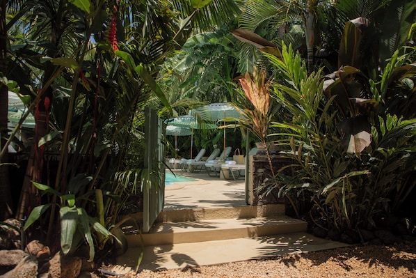 Exterior - Maison Tropical (Flic-en-Flac)