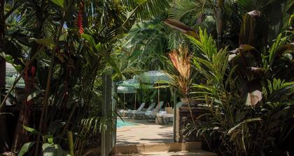 Maison Tropical