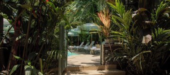 Maison Tropical