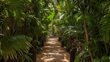 Terrein van de accommodatie