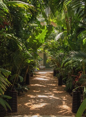 Garden - Maison Tropical  (Flic-en-Flac)