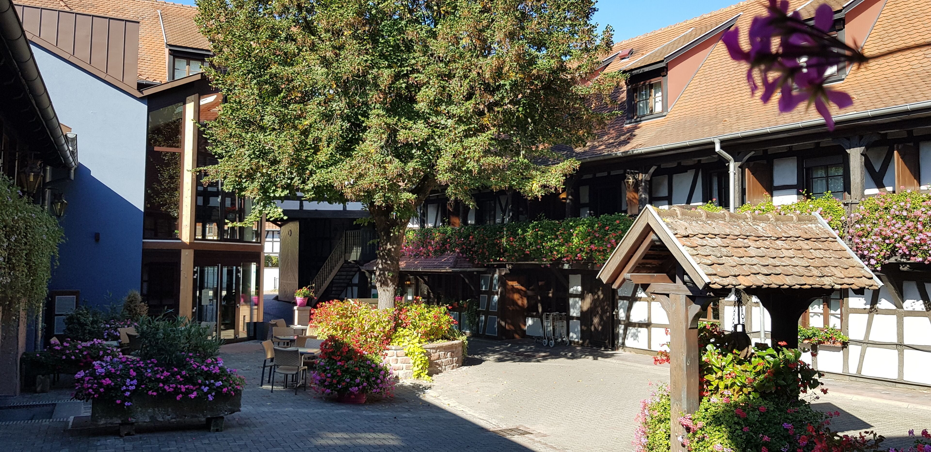 Eksteriør