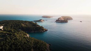 Vista aérea de una zona costera con vegetación densa, afloramientos rocosos y mar tranquilo.