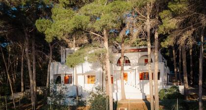 Apartment 1- Ferruccio