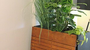 A wooden bench with a planter containing green plants. - Eulenschlupf, modern and lovely vacation apartment with garden and sauna (Ühlingen-Birkendorf)