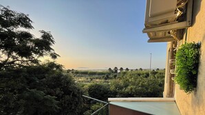 Ein Balkon mit Blick auf eine natürliche Landschaft, Bäume und einen weiten Horizont.