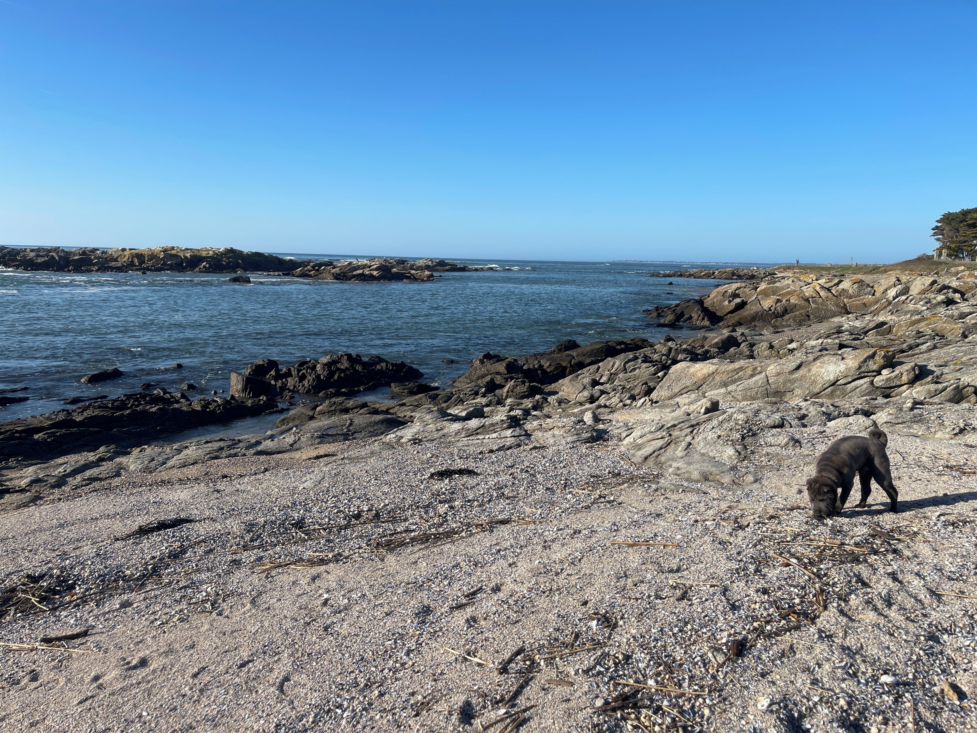Strand