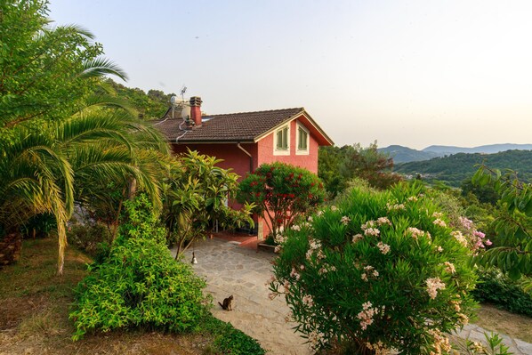 A house surrounded by lush greenery and a stone pathway.