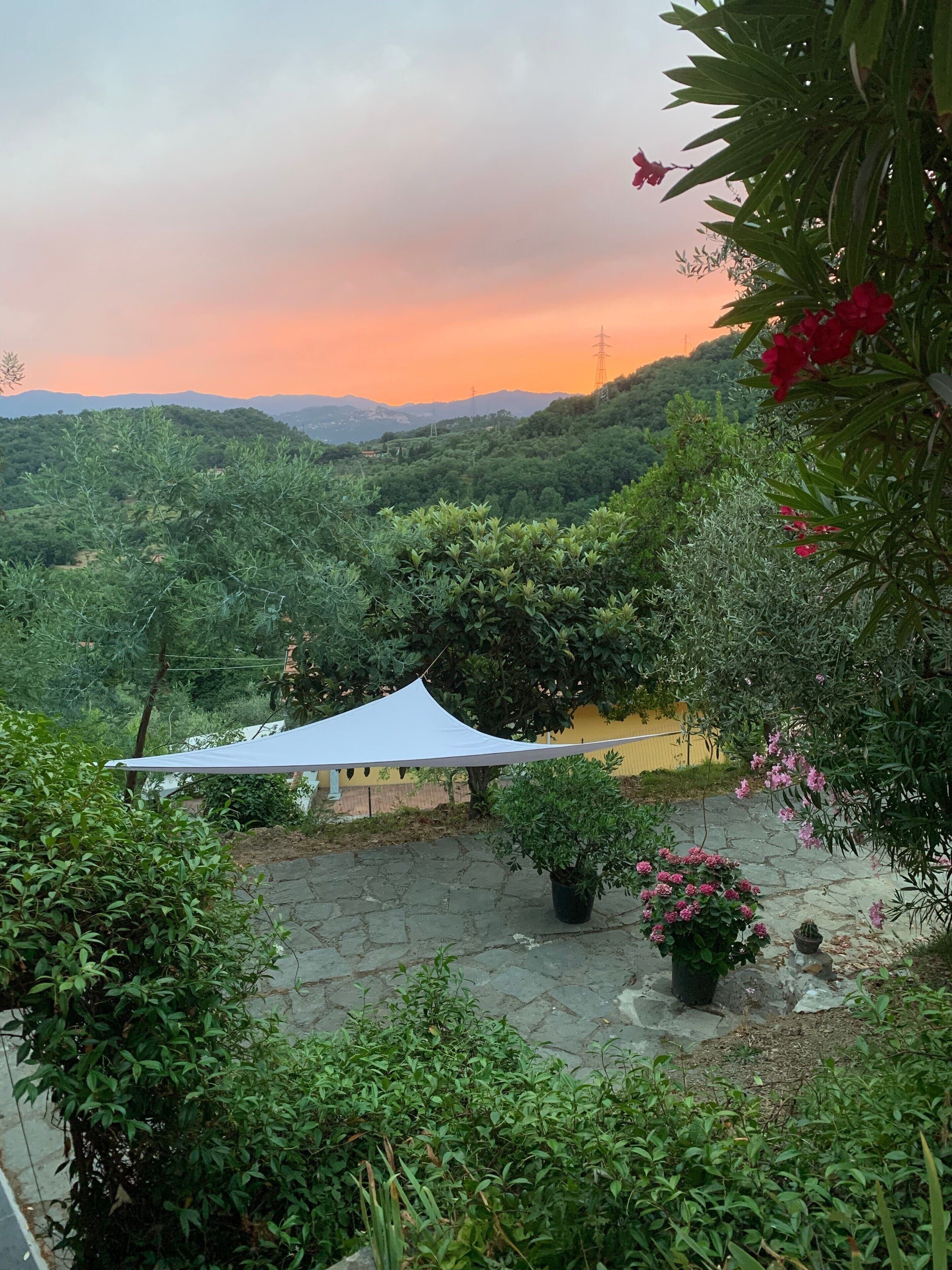 Parco della struttura