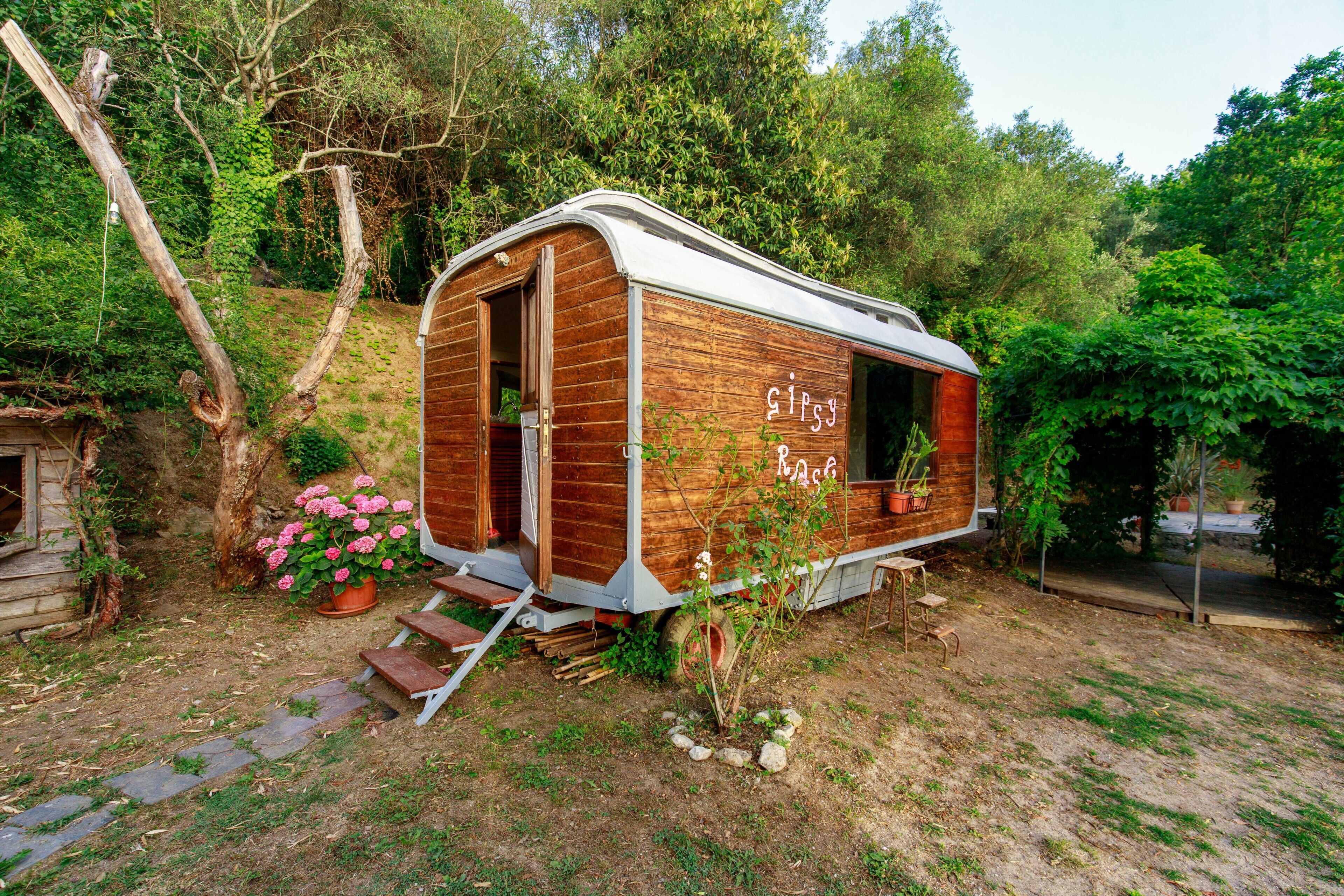 Una baita di legno con la porta aperta, immersa nel verde e circondata da piante in vaso.