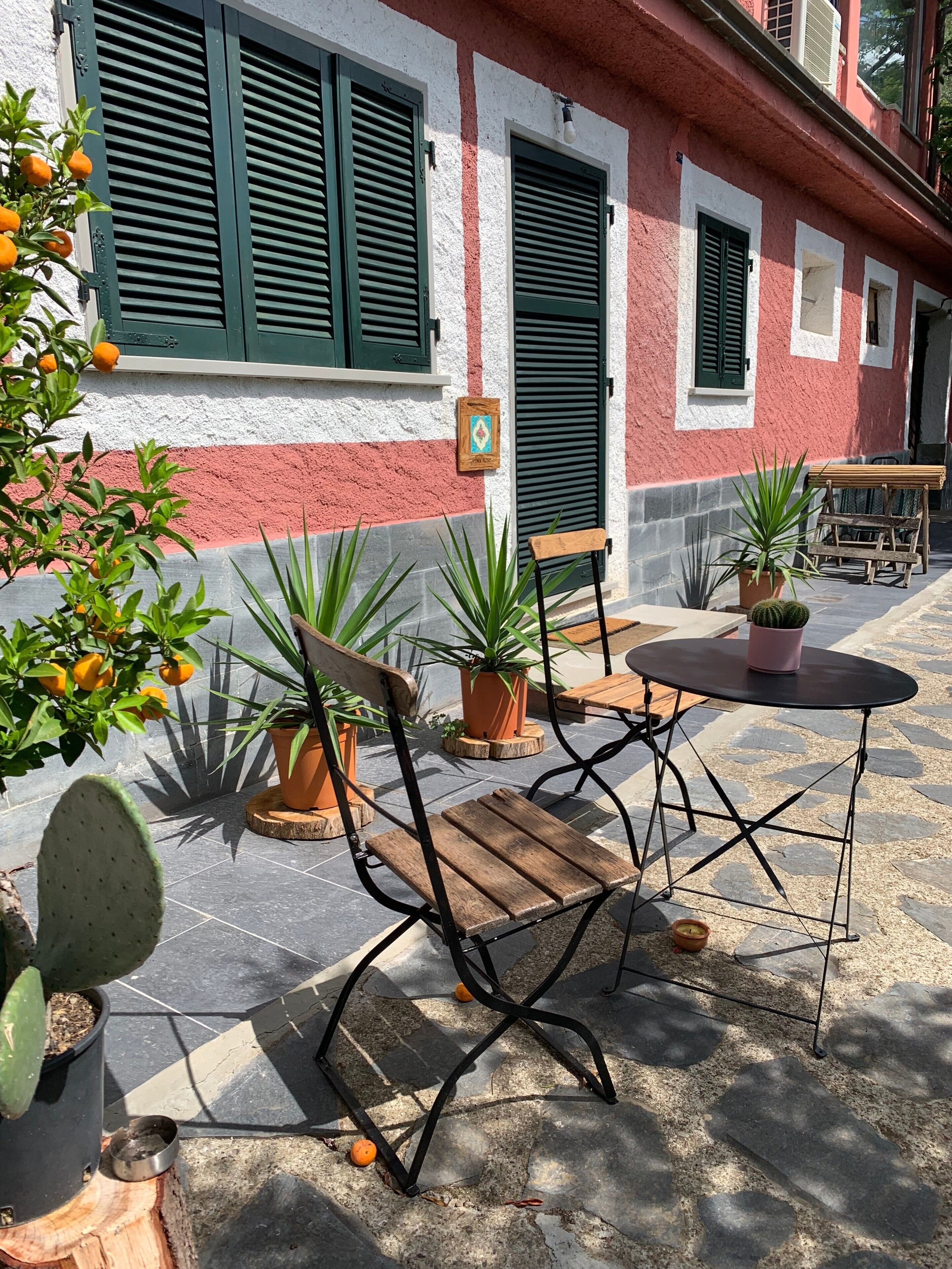 Zona all'aperto con sedute, un banco e un tavolo in legno, circondata da vasi con piante e un cactus.