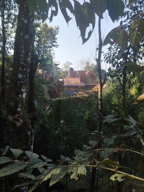 Property grounds - Ganganiwas Homestay Sonada (Sonada)