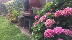 A garden with a brick oven, lush greenery, and pink hydrangea flowers. - Villafañe House (Brañosera)