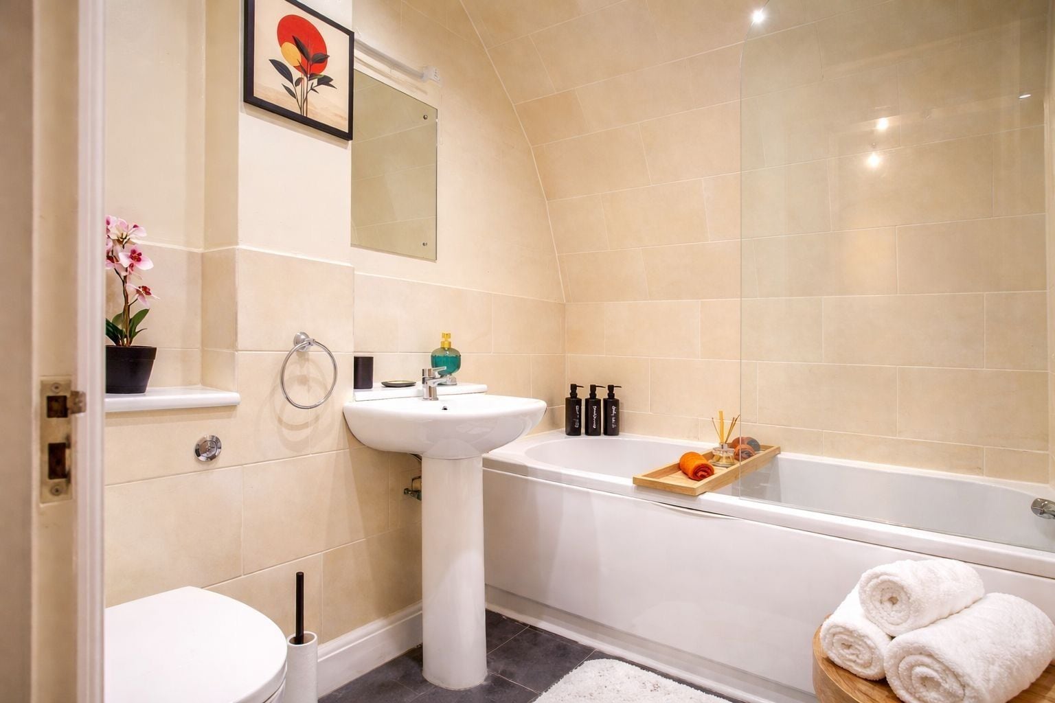Hair dryer, towels, toilet paper