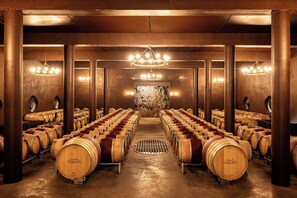 A wine cellar with rows of wooden barrels, a central walkway, and chandeliers.