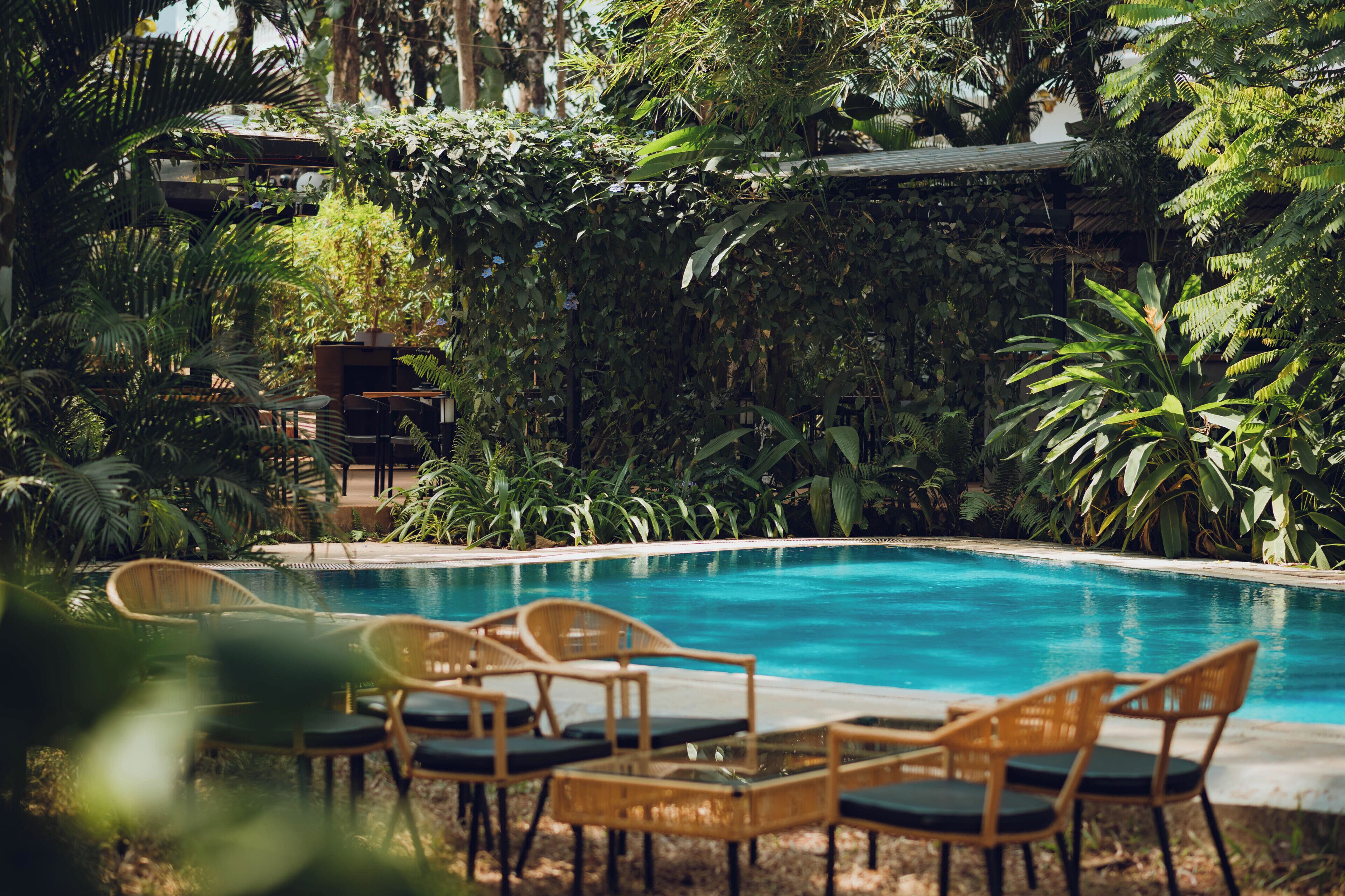 Outdoor pool, pool umbrellas, sun loungers