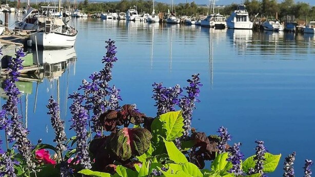 Un port de plaisance avec des bateaux amarrés et une vue dégagée sur l’eau.
