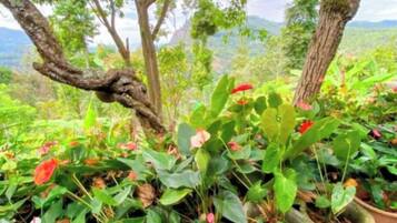 A garden with potted plants and trees, a wooden bench, and a view of the landscape.