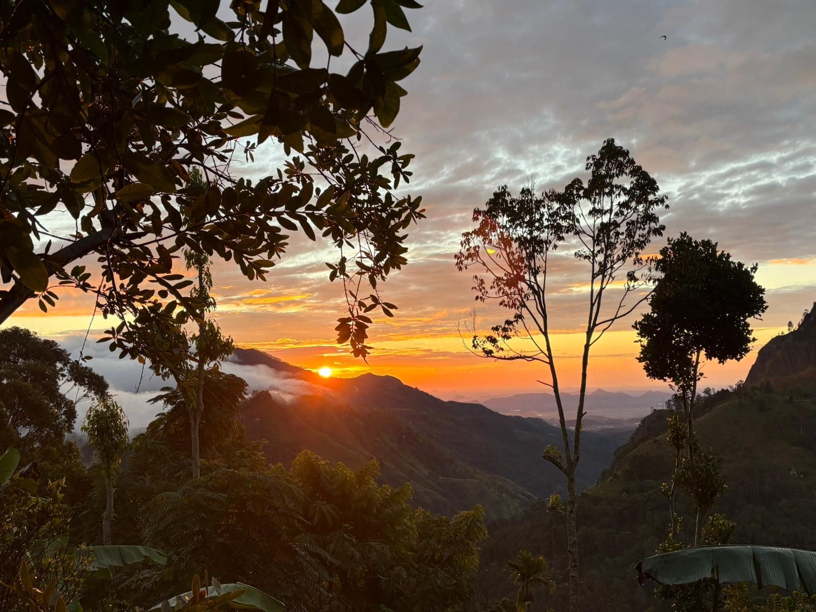 Un paysage montagneux avec un coucher de soleil, des arbres et un ciel dégagé.