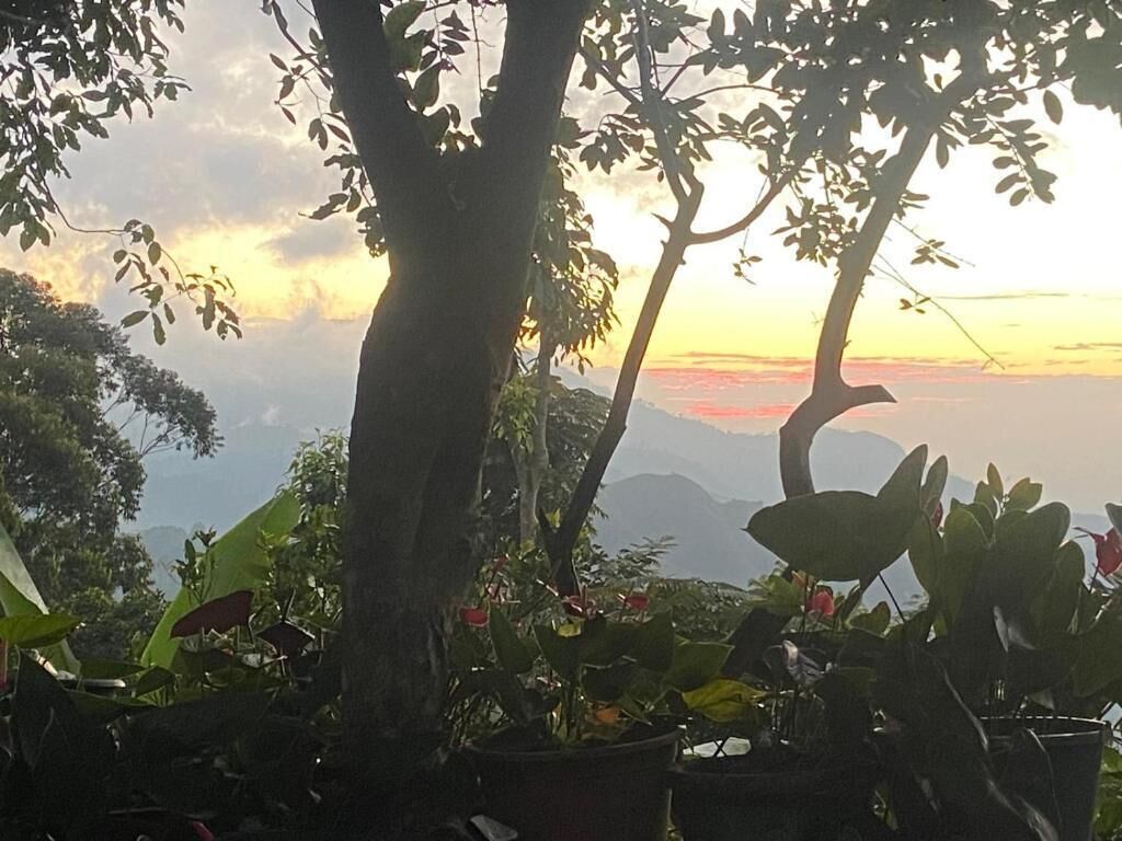Vista desde la propiedad