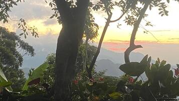 Vista desde la propiedad