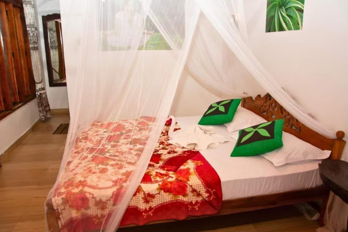 Double Room, Mountain View