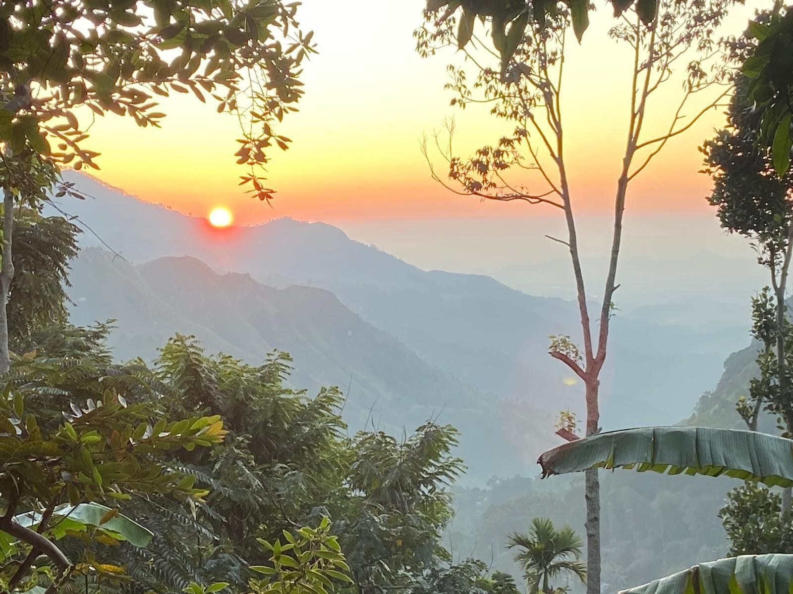 Un paisaje montañoso con un atardecer, follaje denso y cielo despejado.