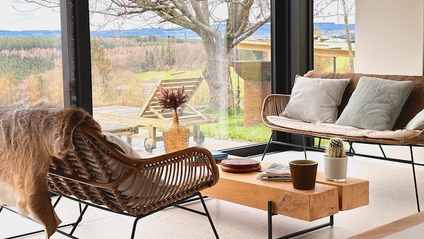 A room with a large window, a wicker chair, a sofa, a wooden coffee table, and a cactus plant. - Luxury Villa With Garden & Zipline (La Roche-en-Ardenne)