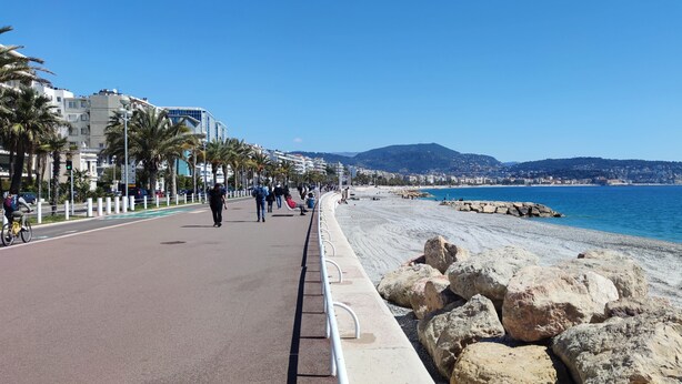 Un paseo marítimo con un sendero pavimentado, palmeras y una playa rocosa.