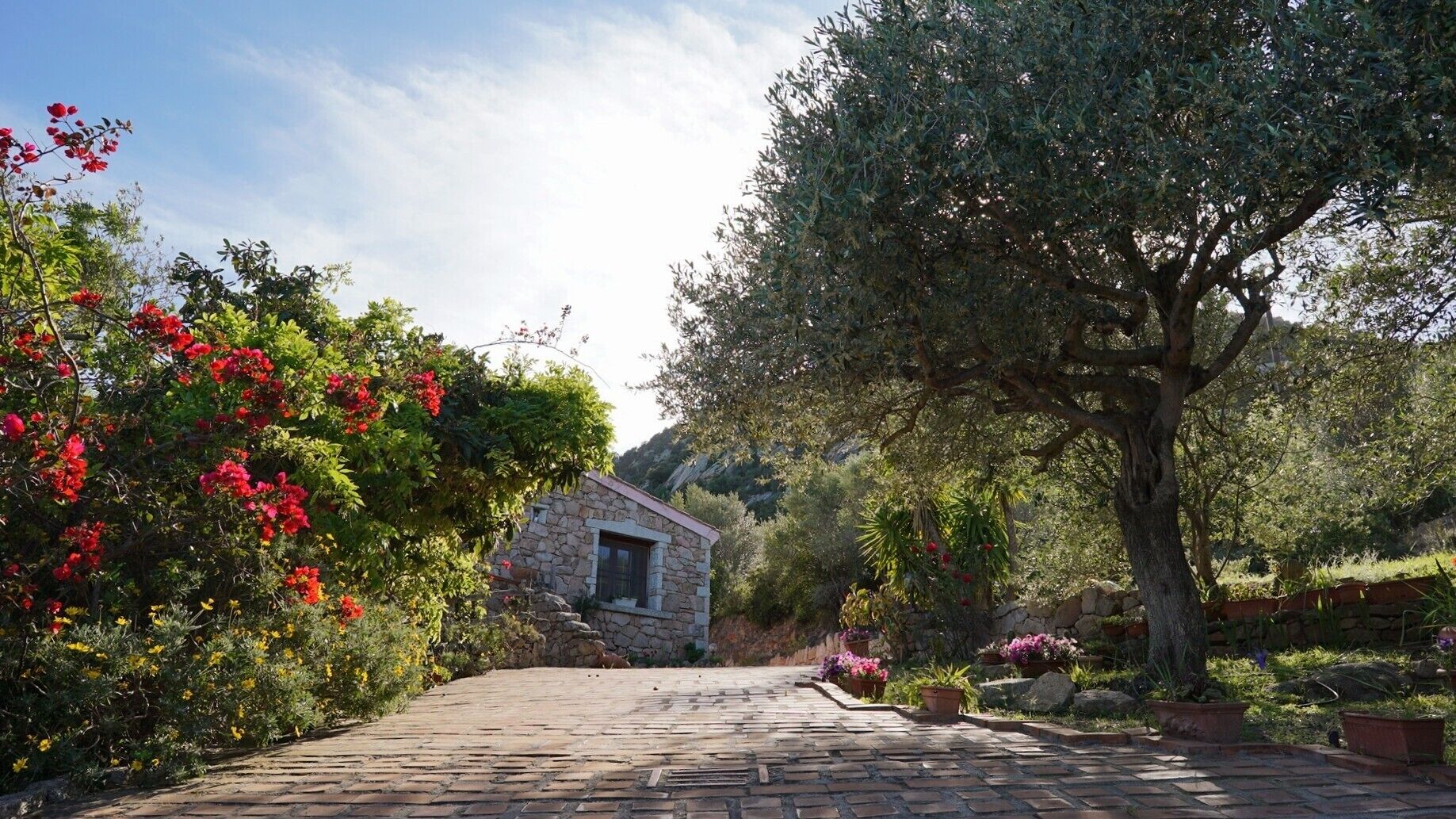 Terrein van de accommodatie