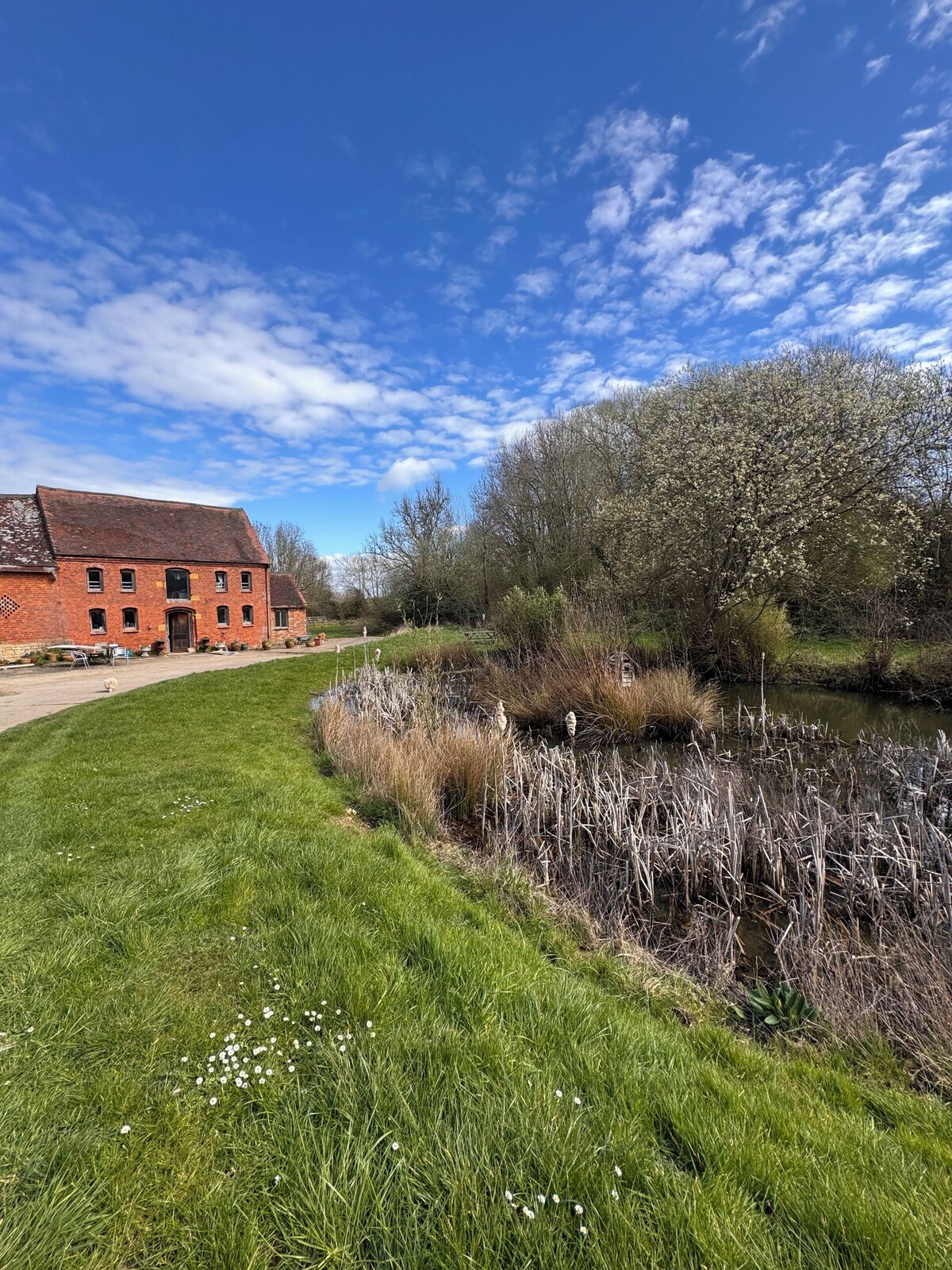 Imagen de perfil del propietario o de la propietaria